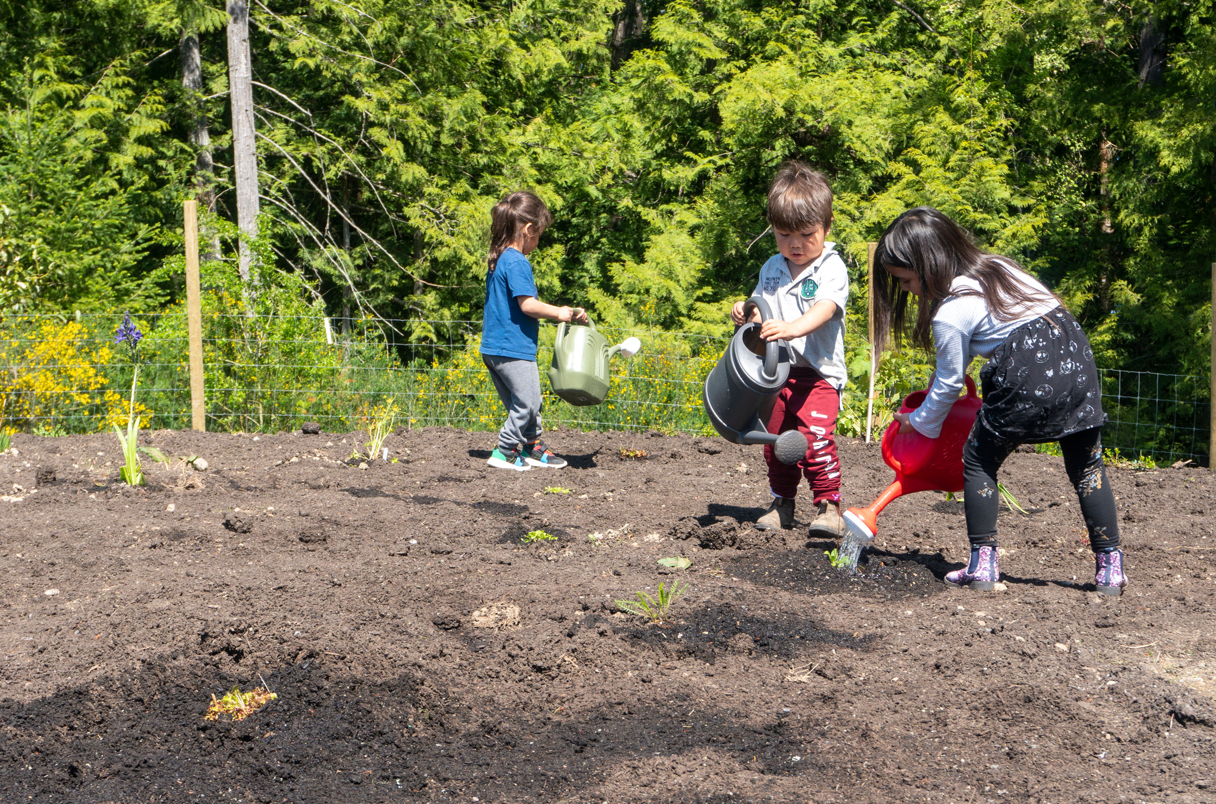 Our Environment team.